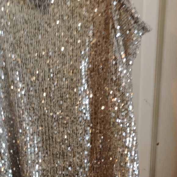Daytrip Silver Sequin Tank Top - Picture 14 of 15